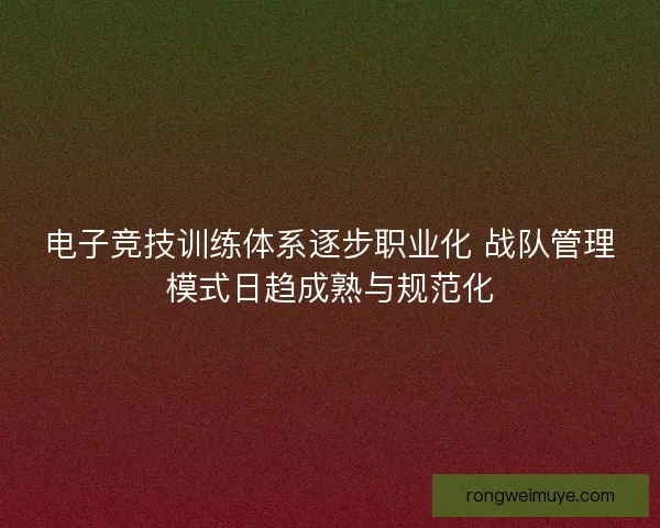 电子竞技训练体系逐步职业化 战队管理模式日趋成熟与规范化