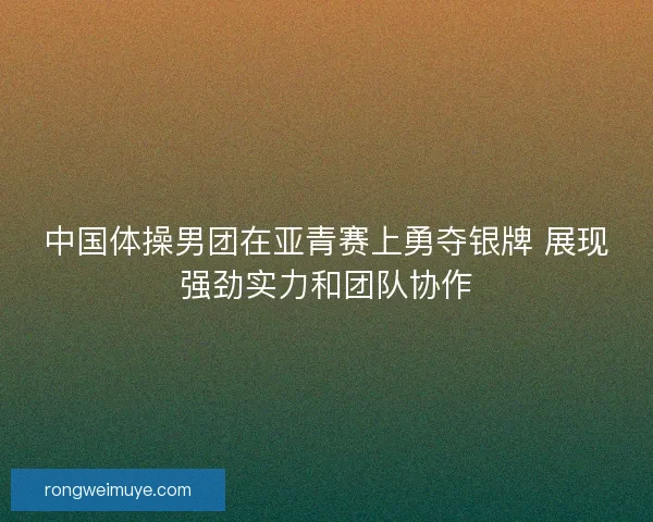 中国体操男团在亚青赛上勇夺银牌 展现强劲实力和团队协作